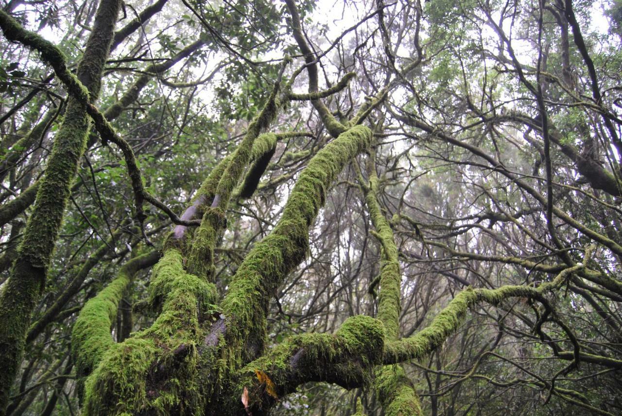 Gurugu 2 Lägenhet San Sebastián de la Gomera Exteriör bild
